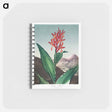 アートメモ帳-Indian Reed from The Temple of Flora
 - ロバート ジョン ソーントン Memo.