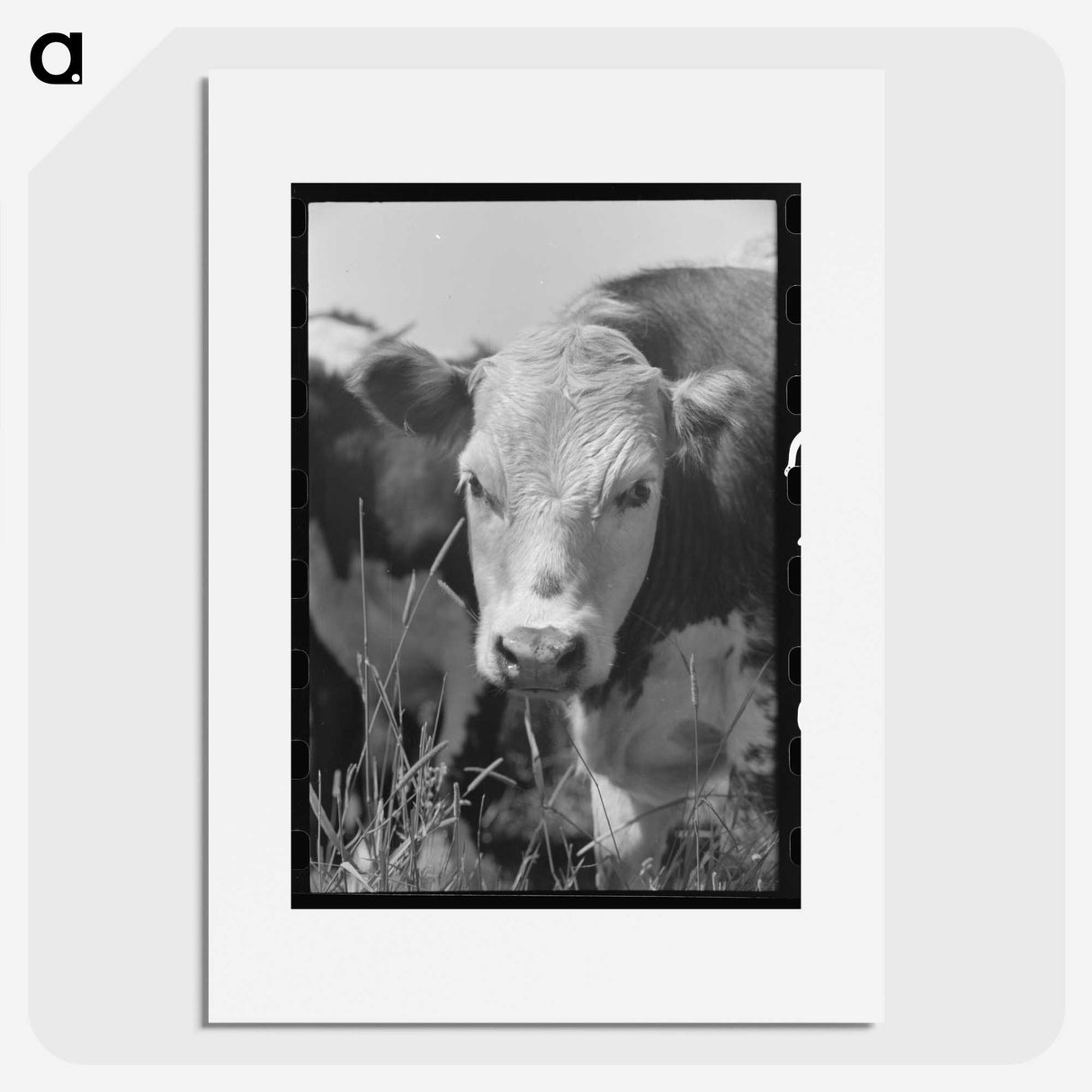 1-15_Russell-Lee_picture