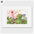 1-15_Seiyo-Soka-Zufu_picture