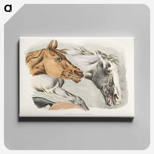 1-15_Sporting-Sketches_canvas