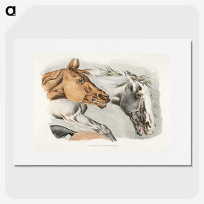 1-15_Sporting-Sketches_picture