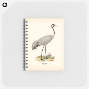 アートメモ帳-Common Crane (Grus Grus)
 - スヴェンスカ フォグラル Memo.