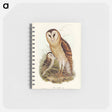 アートメモ帳-Grass-Owl
 - オーストラリアの鳥 Memo.