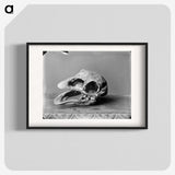 1-15_The-Burton-Brothers_blk