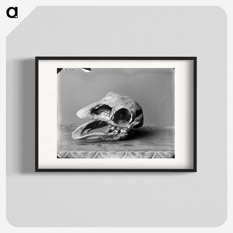 1-15_The-Burton-Brothers_blk