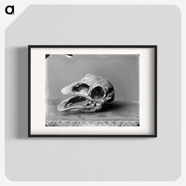 1-15_The-Burton-Brothers_blk