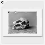 1-15_The-Burton-Brothers_picture