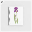 1-15_The-Genus-Iris_memo