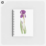 1-15_The-Genus-Iris_memo