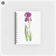 アートメモ帳-Iris Kochii from The genus Iris
 - アヤメ属 Memo.