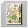 1-15_The-Great-Barrier-Reef-of-Australia_canvas