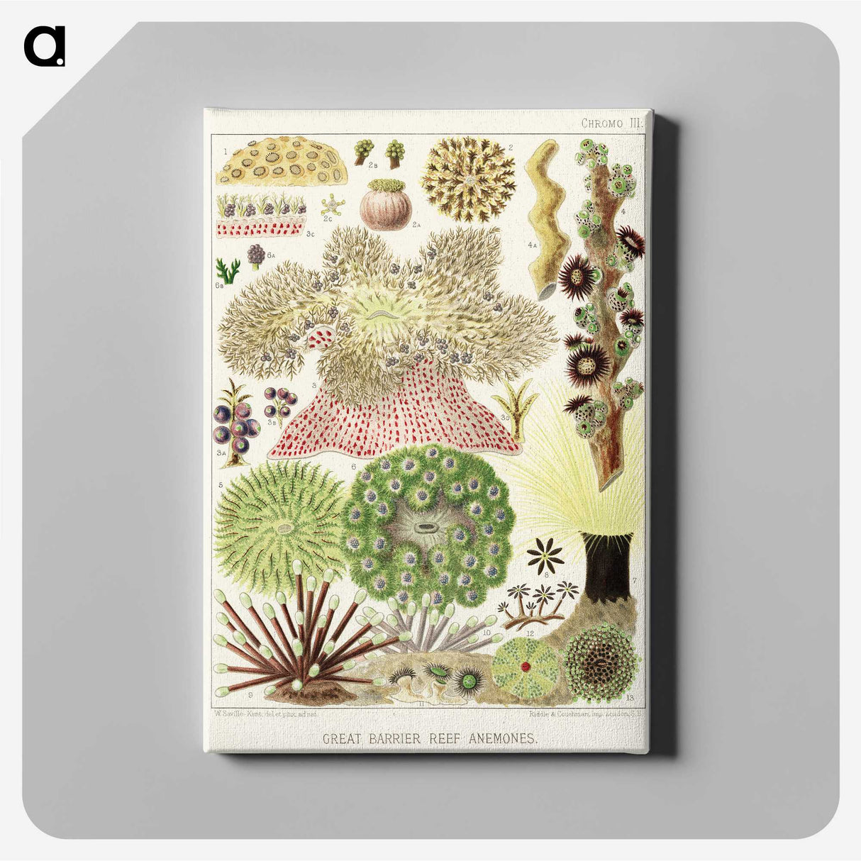 1-15_The-Great-Barrier-Reef-of-Australia_canvas