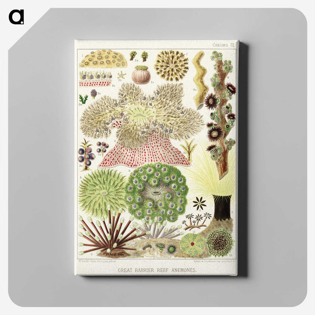 1-15_The-Great-Barrier-Reef-of-Australia_canvas
