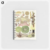 1-15_The-Great-Barrier-Reef-of-Australia_memo