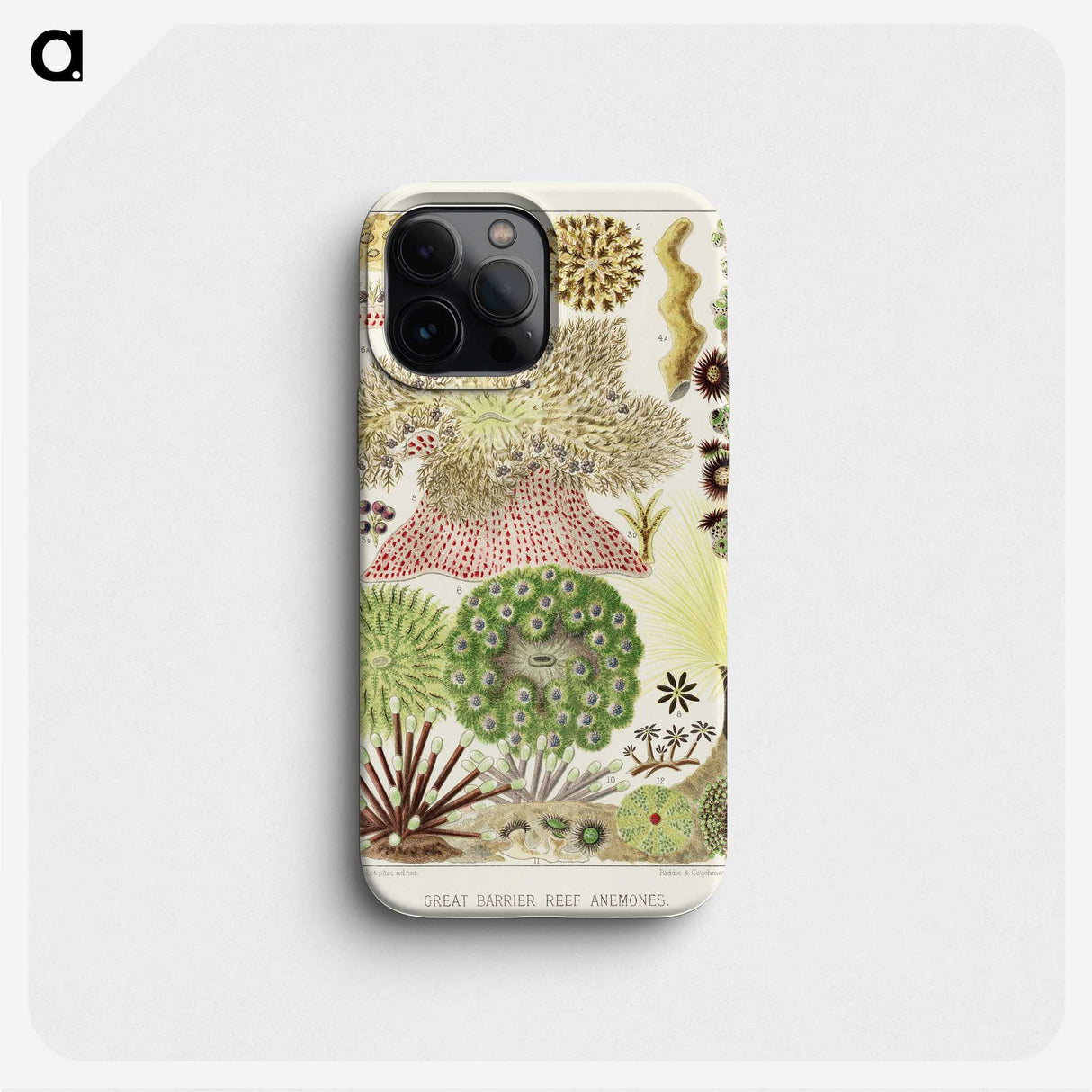 1-15_The-Great-Barrier-Reef-of-Australia_phone