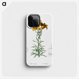 1-15_The-Lilies_phone