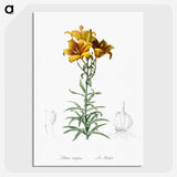 1-15_The-Lilies_picture-crop