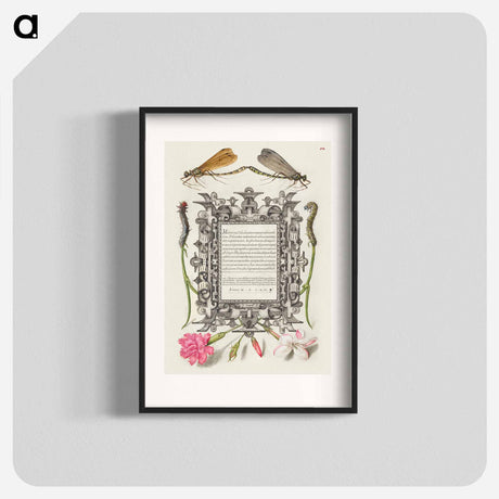 アートポスター-Damselflies, Caterpillars, Carnation, and Poet's Jasmine
 - 書道のお手本 Poster.