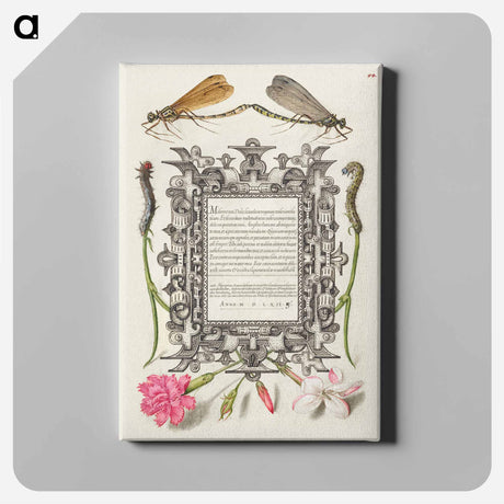 アートパネル-Damselflies, Caterpillars, Carnation, and Poet's Jasmine
 - 書道のお手本 Canvas.