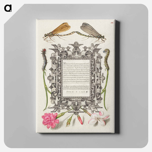 アートパネル-Damselflies, Caterpillars, Carnation, and Poet's Jasmine
 - 書道のお手本 Canvas.