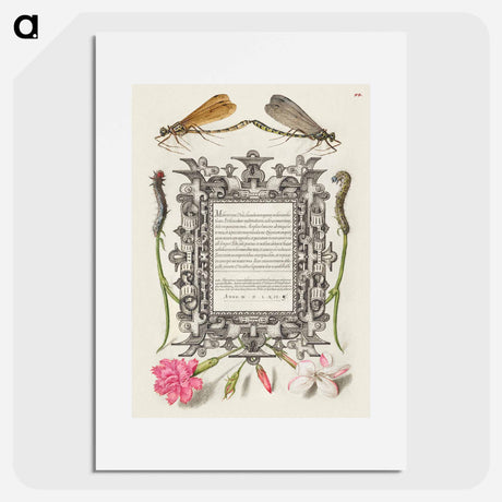 アートポスター-Damselflies, Caterpillars, Carnation, and Poet's Jasmine
 - 書道のお手本 Poster.