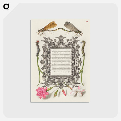 アートポストカード-Damselflies, Caterpillars, Carnation, and Poet's Jasmine
 - 書道のお手本 Postcard.