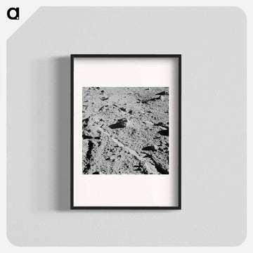 Apollo 14 Lunar Rock
 - ムーン Poster.