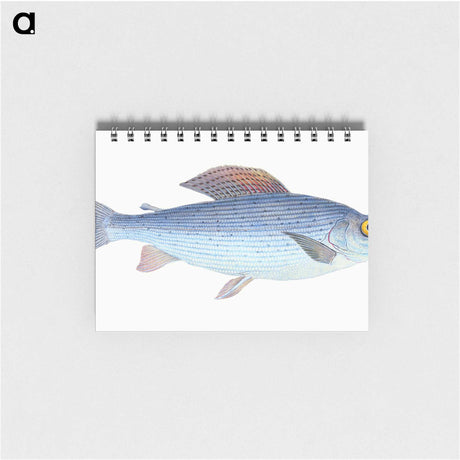 1-15_The-Natural-History-of-British-Fishes_memo