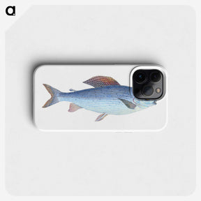 1-15_The-Natural-History-of-British-Fishes_phone