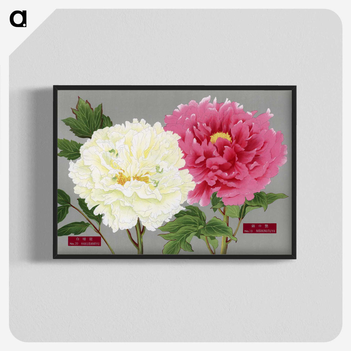 1-15_The-Picture-Book-of-Peonies_blk-crop