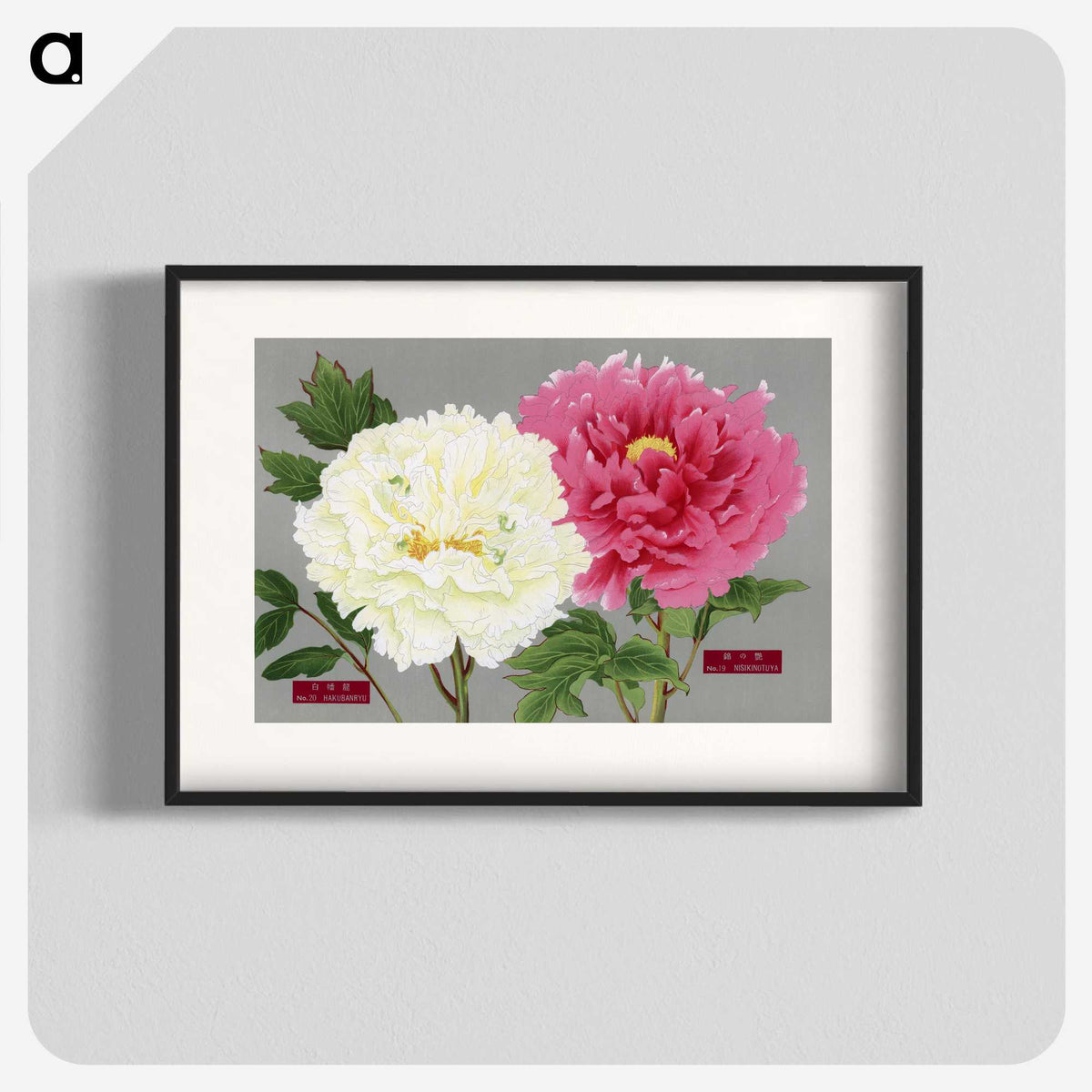 1-15_The-Picture-Book-of-Peonies_blk