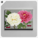 1-15_The-Picture-Book-of-Peonies_canvas
