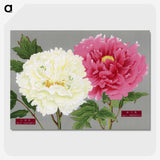 1-15_The-Picture-Book-of-Peonies_picture-crop