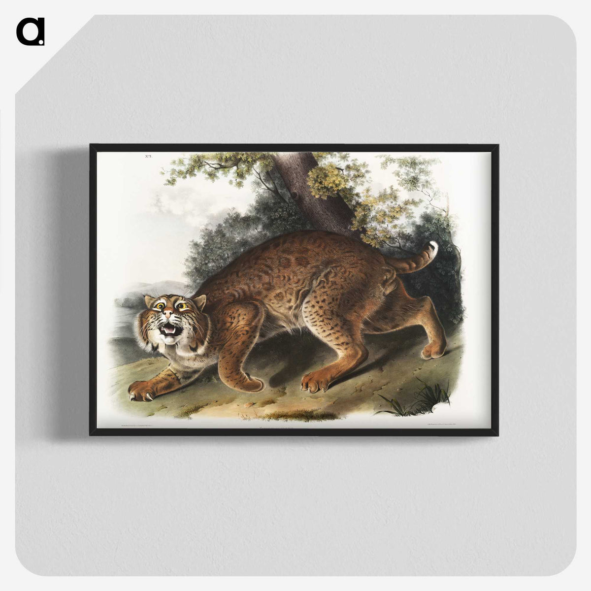 1-15_The-Viviparous-Quadrupeds_blk-crop