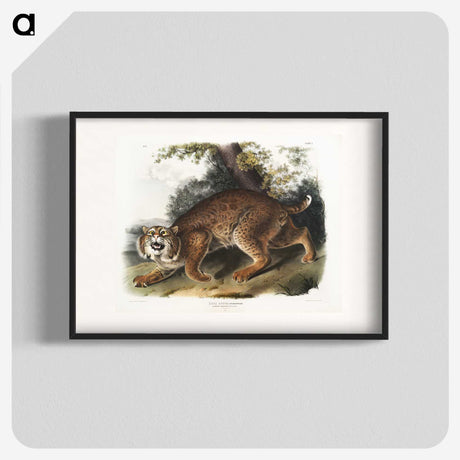 1-15_The-Viviparous-Quadrupeds_blk