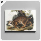 1-15_The-Viviparous-Quadrupeds_canvas