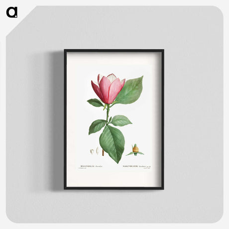 1-15_Treatise-on-Trees-and-Shrubs_blk