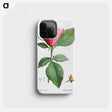 1-15_Treatise-on-Trees-and-Shrubs_phone