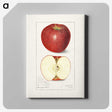 1-15_USDA-Watercolor-Fruit-Painting-Collection_canvas