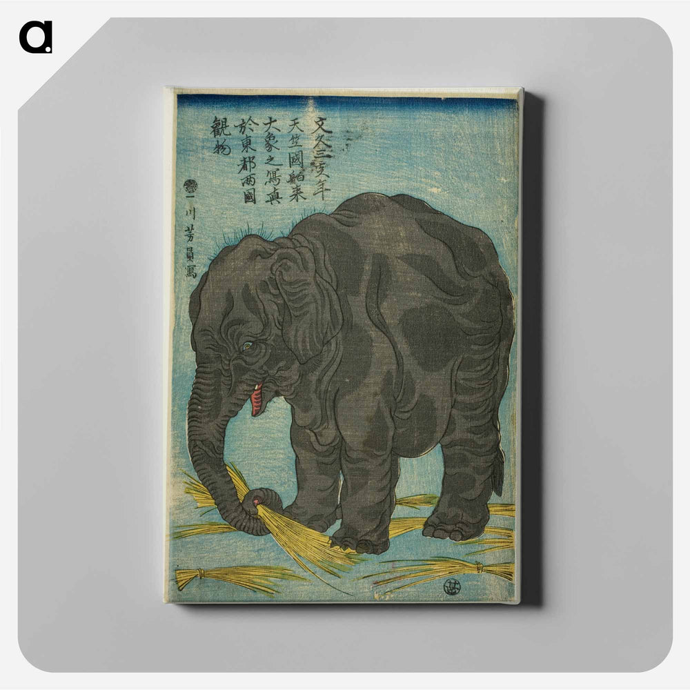 Large Elephant from India - 歌川よしかず Canvas.