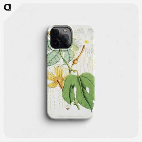 1-15_Walter-Hood-Fitch_phone