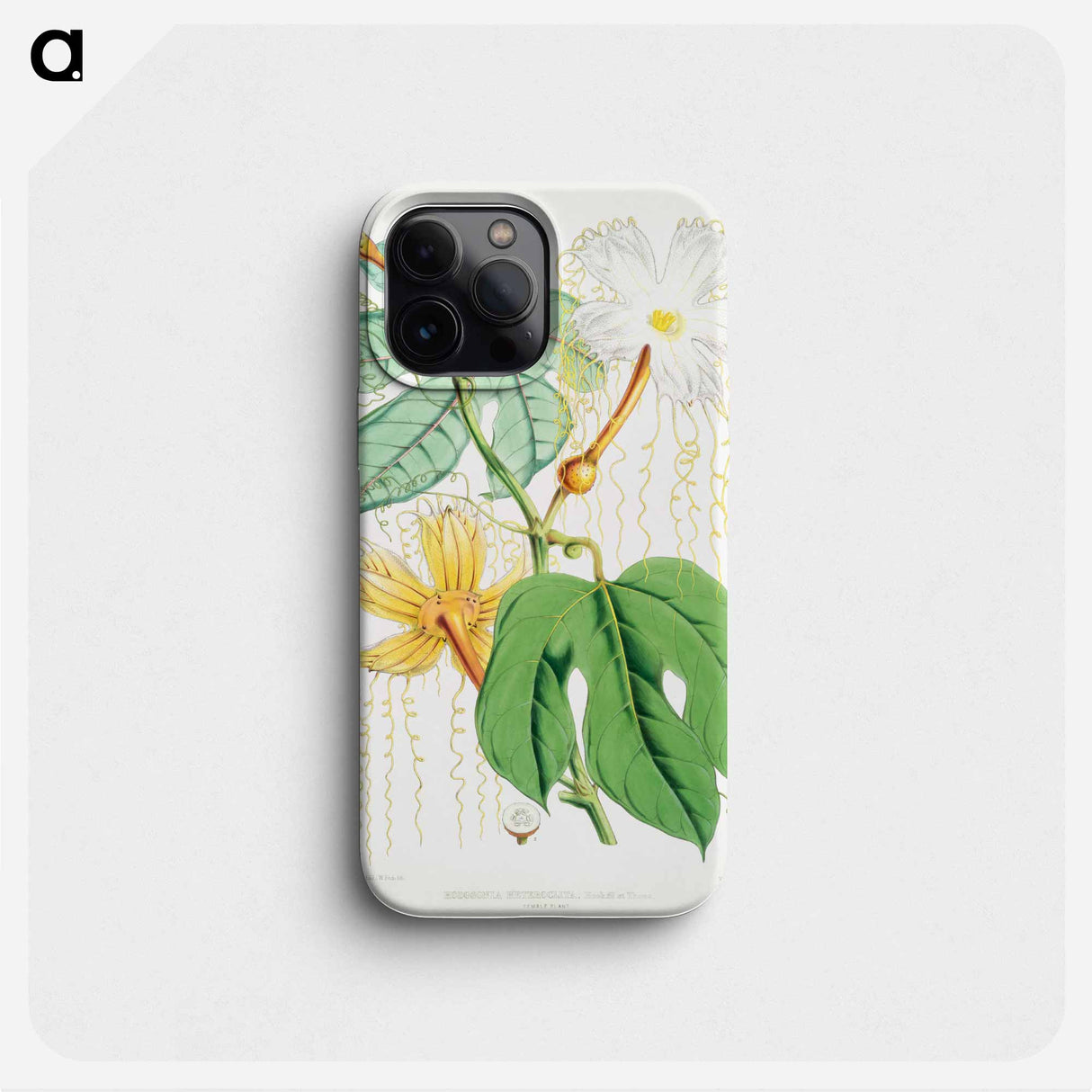 Chinese Lard Seed (Hodgsonia Heteroclita), Female plant from Illustrations of Himalayan plants by W. H. (Walter Hood) Fitch - ウォルター フッド フィッチ Phone Case.