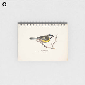 アートメモ帳-Great tit - ヴィルヘルム フォン ライト Memo.