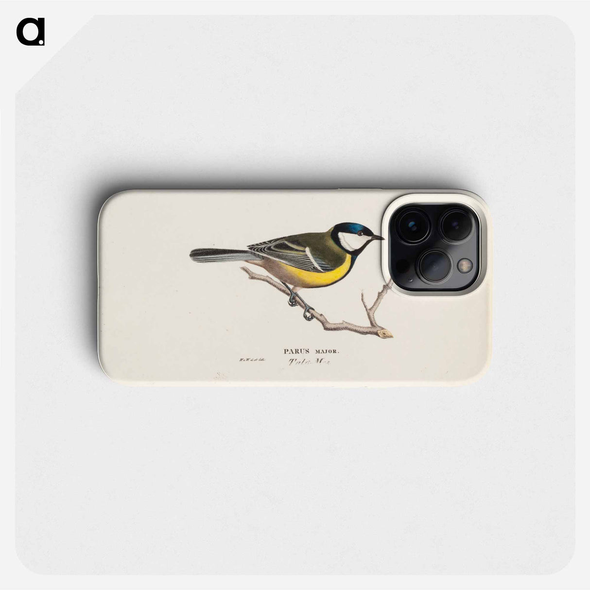 Great tit - Wilhelm von Wright Phone Case.