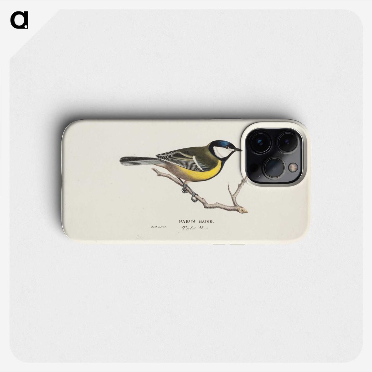 1-15_Wilhelm-von-Wright_phone