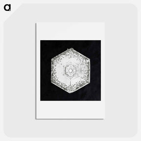 アートポストカード-Wilson Bentley's Snowflake 951 - ウィルソン ベントレー Postcard.