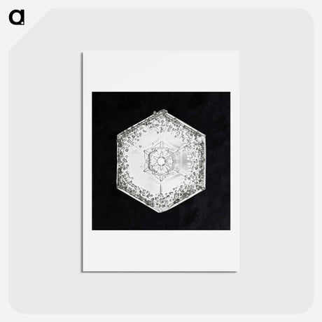 アートポストカード-Wilson Bentley's Snowflake 951 - ウィルソン ベントレー Postcard.