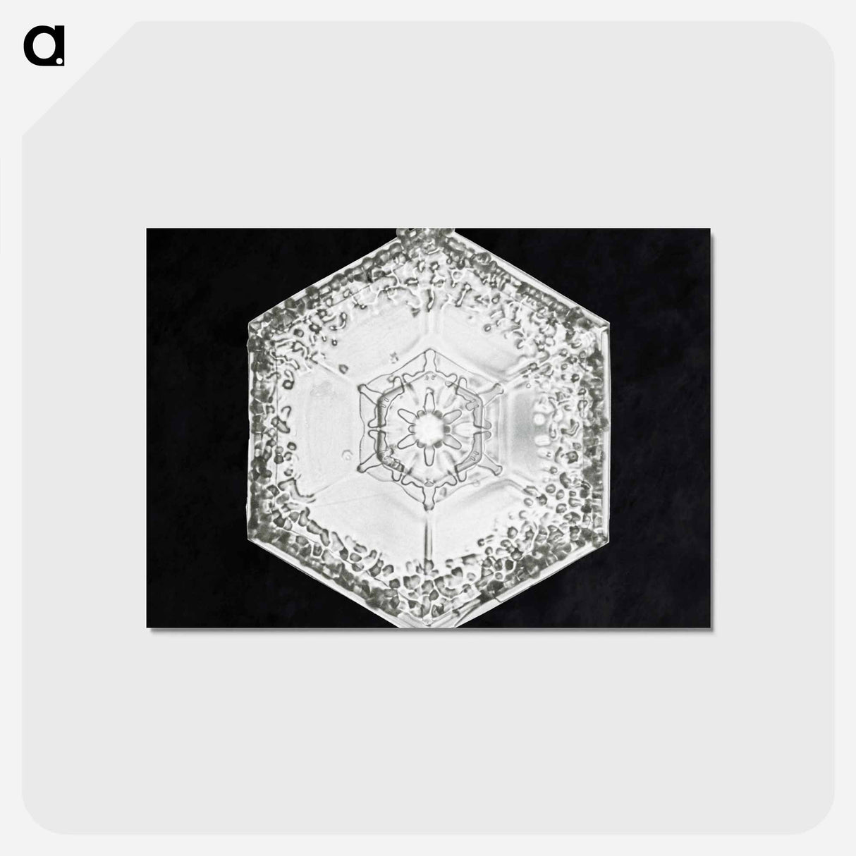 アートポストカード-Wilson Bentley's Snowflake 951 - ウィルソン ベントレー Postcard.