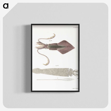 1-15_Zoology-of-New-York_blk-crop