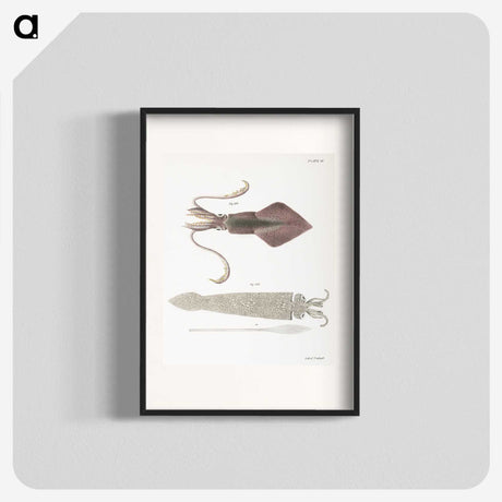 1-15_Zoology-of-New-York_blk
